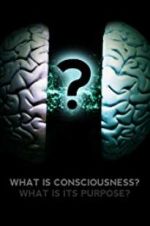 Watch What Is Consciousness? What Is Its Purpose? Freemovieswatch