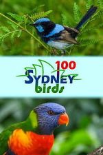 Watch 100 Sydney Birds Freemovieswatch