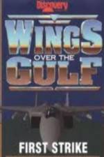 Watch Wings Over the Gulf Vol  1  First Strike Freemovieswatch