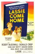 Watch Lassie Come Home Freemovieswatch