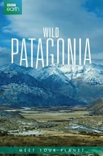 Watch Wild Patagonia Freemovieswatch