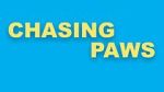 Watch Chasing Paws (Short 2020) Freemovieswatch