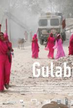 Watch Gulabi Gang Freemovieswatch