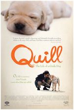 Watch Quill: The Life of a Guide Dog Freemovieswatch