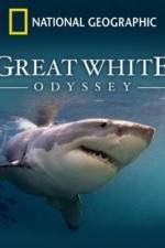 Watch Great White Odyssey Freemovieswatch