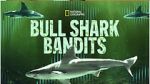 Watch Bull Shark Bandits Freemovieswatch