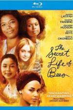 Watch The Secret Life of Bees Freemovieswatch