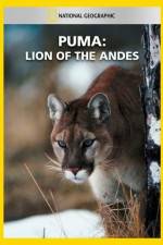 Watch National Geographic  Puma: Lion of the Andes Freemovieswatch