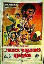 Watch The Black Dragon's Revenge Freemovieswatch