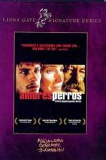 Watch Amores perros Freemovieswatch