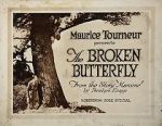 Watch The Broken Butterfly Freemovieswatch