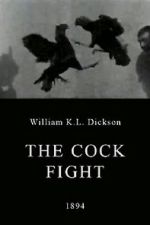Watch The Cock Fight Freemovieswatch