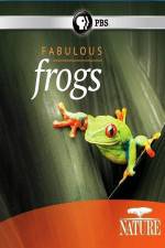 Watch Nature: Fabulous Frogs Freemovieswatch