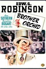 Watch Brother Orchid Freemovieswatch