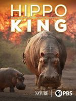 Watch Hippo King Freemovieswatch