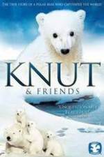 Watch Knut and Friends Freemovieswatch