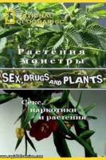 Watch National Geographic Wild: Sex Drugs and Plants Freemovieswatch