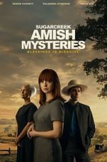 Watch Sugarcreek Amish Mysteries: Blessings in Disguise Freemovieswatch