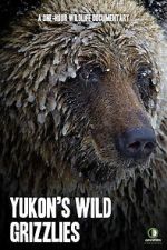 Watch Yukon\'s Wild Grizzlies Freemovieswatch