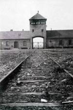 Watch AUSCHWITZ: FRENZIED KILLING Freemovieswatch