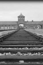 Watch AUSCHWITZ: ORDERS AND INITIATIVES Freemovieswatch