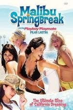 Watch Malibu Spring Break Freemovieswatch