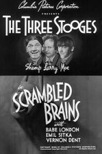 Watch Scrambled Brains Freemovieswatch