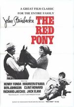 Watch The Red Pony Freemovieswatch