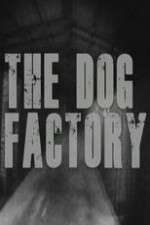 Watch The Dog Factory Freemovieswatch