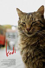 Watch Kedi Freemovieswatch