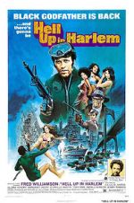 Watch Hell Up in Harlem Freemovieswatch