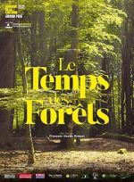 Watch The Time of Forests Freemovieswatch
