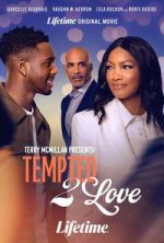 Watch Terry McMillan Presents: Tempted 2 Love Freemovieswatch