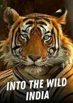 Watch Into the Wild India Freemovieswatch