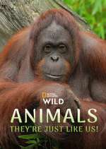 Watch Animals, They\'re Just Like Us! Freemovieswatch