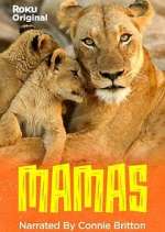 Watch Mamas Freemovieswatch