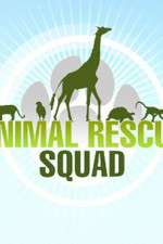 Watch Animal Rescue Squad Freemovieswatch