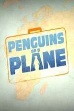 Watch Penguins on a Plane Freemovieswatch