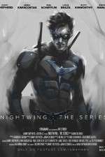 Watch Nightwing: The Series Freemovieswatch