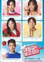 Watch Dae Jang Geum Is Watching Freemovieswatch