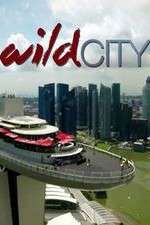 Watch Wild City Freemovieswatch