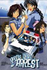 Watch You're Under Arrest Freemovieswatch