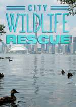 Watch City Wildlife Rescue Freemovieswatch