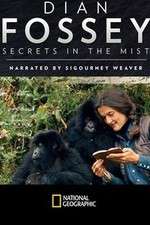 Watch Dian Fossey: Secrets in the Mist Freemovieswatch