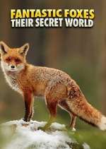 Watch Fantastic Foxes: Their Secret World Freemovieswatch