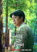 Watch The Frog Freemovieswatch