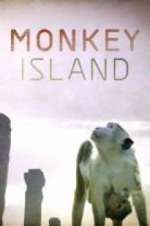 Watch Monkey Island Freemovieswatch