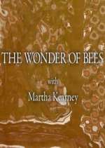 Watch The Wonder of Bees with Martha Kearney Freemovieswatch