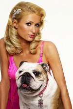 Watch Paris Hilton's British Best Friend Freemovieswatch