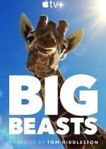 Watch Big Beasts Freemovieswatch